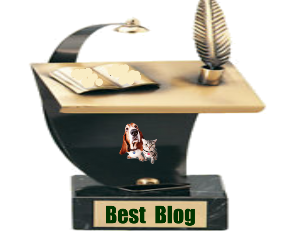 a best blog award 